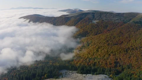 Fog in the autumn Stock Footage 170774574