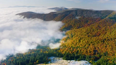 Fog in the autumn Stock Footage 170774666