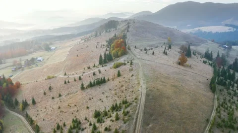 Fog in the autumn Video stock 170793302