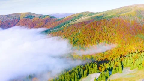 Fog in the autumn Stock Footage 170913443