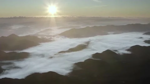Fog in the autumn Video stock 170914110