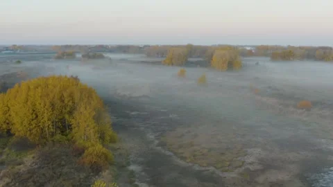 Fog In The Autumn Forest Stock-Footage 151762283