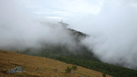Fog in autumn mountains closeup 库存影片 84042269