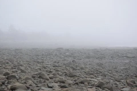 Fog on the beach Stock Photos