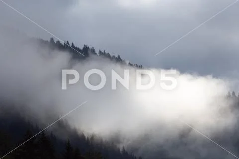 Fog on beautiful forest peaks in the mountains Stock Photos
