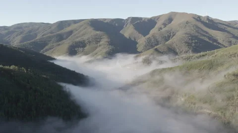 Fog below the mountain Stock Footage 237339828
