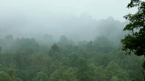 Fog blows over the forest in the Blue Ridge Mountains Stock Footage 140814340