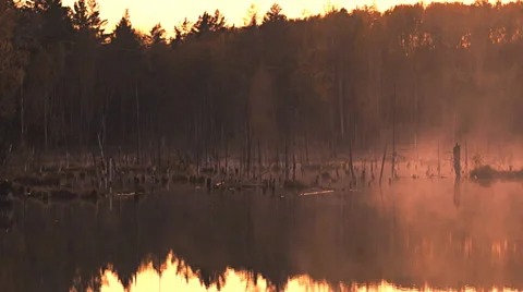 Fog on a bog. Sunset 2 Stock Footage 41947861