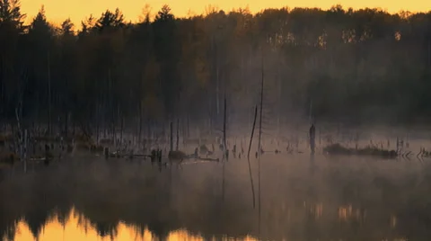 Fog on a bog. Sunset Stock Footage 41947872