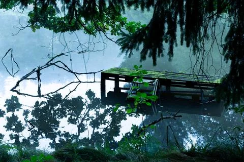 Fog-bound tranquility Foto stock