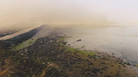 FOG IN THE BRIDGE Stock Footage 94232355