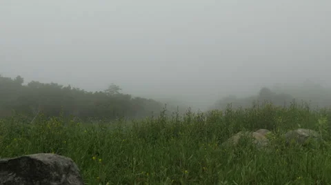 Fog building up on the field close to the top of Mount Fuji. Stock Footage 61772666