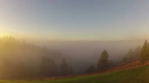 Fog Burns Off Stock Footage 54751511