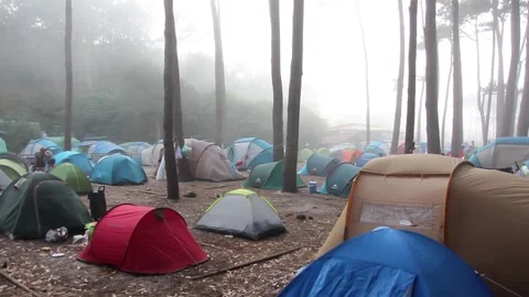 FOG IN THE CAMPING Stock Footage 94232581
