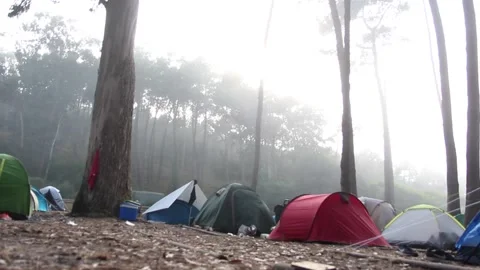 FOG IN THE CAMPING Stock Footage 94232628