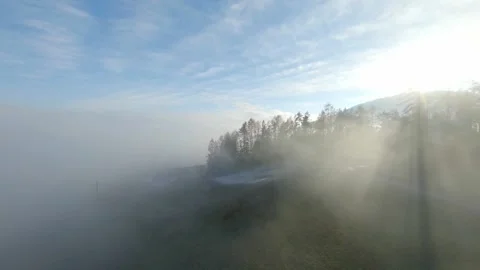 Into the fog. A cinematic fpv drone flight through the fog Stock Footage 152331711