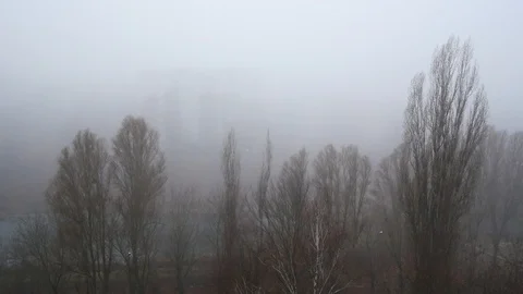 Fog in the city in the fall  Stock Footage 122075972