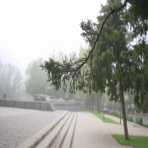 Fog in the city Stock Footage 69540871