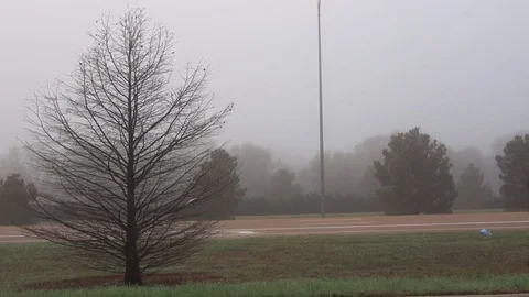 Fog in a city. Stock Footage 87945727