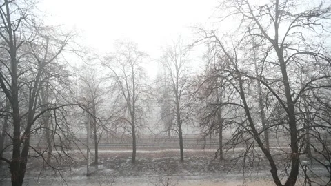 The fog in city Stock Footage 146153689