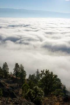 Fog Clouds Stockfoto's