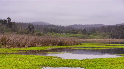 Fog Clouds Serene Lake Mackerricher State Park Fort Bragg, CA Timelapse Stock-Footage 201037212