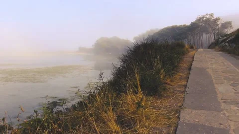 FOG IN THE COAST Stock Footage 94232343