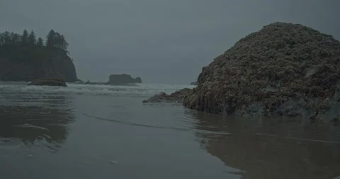 Fog on the coast 스톡 동영상 246817682