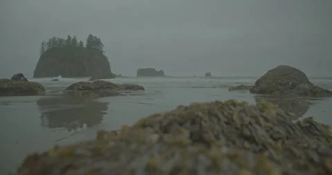 Fog on the coast 動画素材 246823290