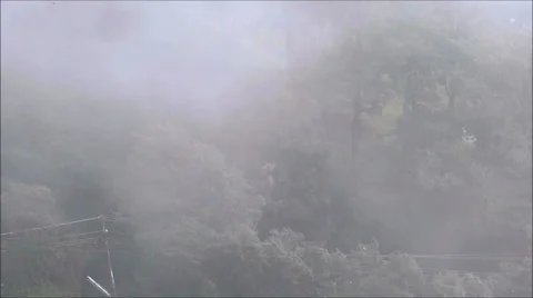 Fog, cold wave in an hill terrene at Dalhousie 스톡 동영상 42686242
