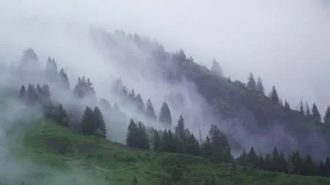 Fog coming Stock Footage 281238895