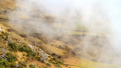Fog Coming Up the Hill on a Windy Day Stock Footage 110339901