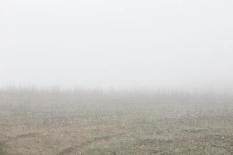 Fog at countryside Stock Photos