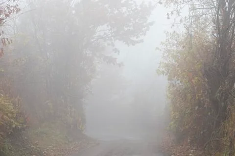 Fog at countryside Stock Photos