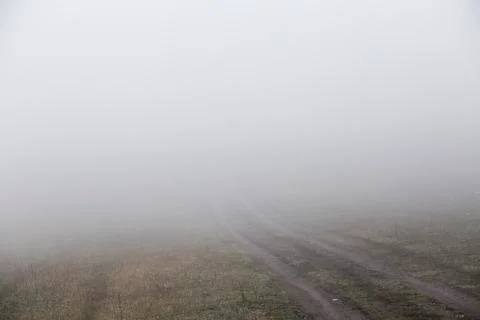 Fog at countryside Stock Photos