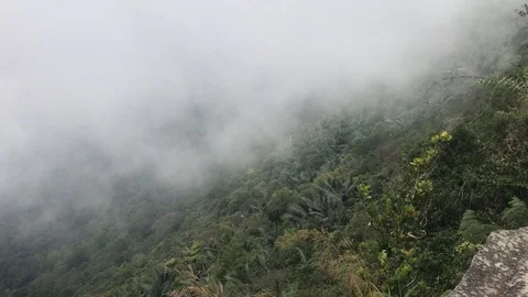 Fog Covered Bokor Mountain Forest, Kampot Cambodia IMG 9307 Stock Footage 119450011