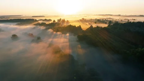 Fog Covered Fields and River at Sunrise, Aerial View Video stock 91494804