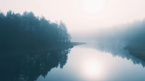 Fog Covered Lake in the Forest, Smooth Aerial Motion Video stock 99291356