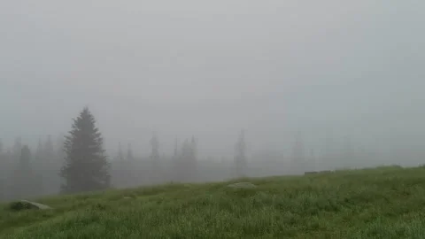 Fog covered meadows in mountain area Vídeos de archivo 329059214
