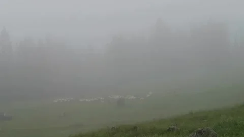 Fog covered meadows in mountain area Vídeos de archivo 329059219