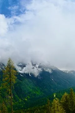 Fog-Covered Mountain Peaks Overlooking Green Forest Slopes Stock Photos