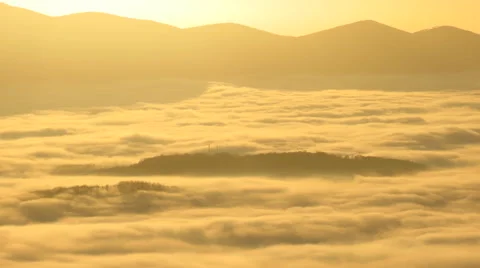 Fog covered trees in the river, time lapse Stock Footage 66270242