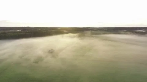 Fog covering fields and surrounding forests, aerial shot Stock Footage 68963984