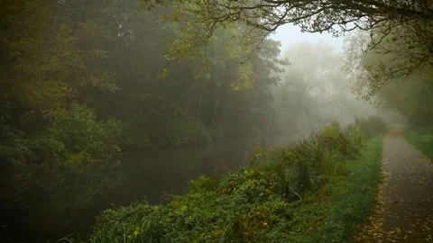 Fog covering forest river path creating calm mysterious mood. Morning fog Stock Footage 329770842