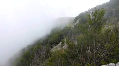 Fog covering slope of a mountain Stock Footage 48380075