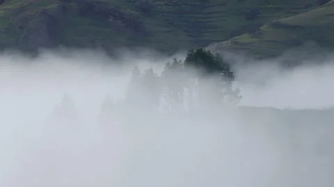Fog covering trees in mountains Stock Footage 130950086