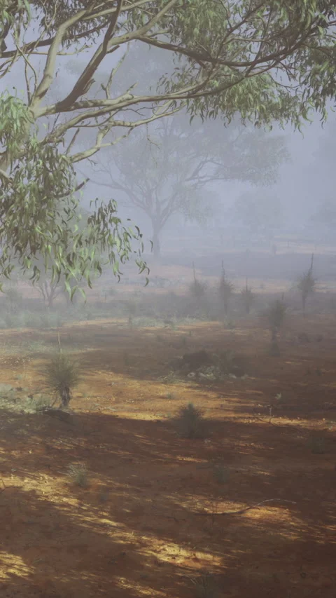 Fog covers the landscape with trees and ground in early morning light Stockbeeldmateriaal 342442562