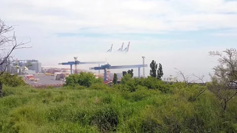 Fog covers legs of container cranes and horizon line in the sea. Stock Footage 144607159