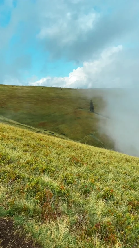 Fog covers the mountain green Stock Footage 205658294