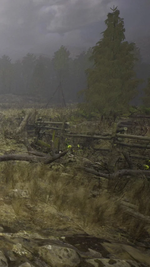 Fog covers a rural area with broken fence and fallen tree during morning hours Stock Footage 336582262